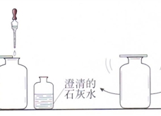 人教版上册图1-17 用澄清的石灰水检验