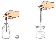 人教版上册图1-28 滴管的使用